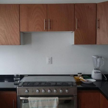 Casa Mariel Hotel San Luis Potosí Екстериор снимка