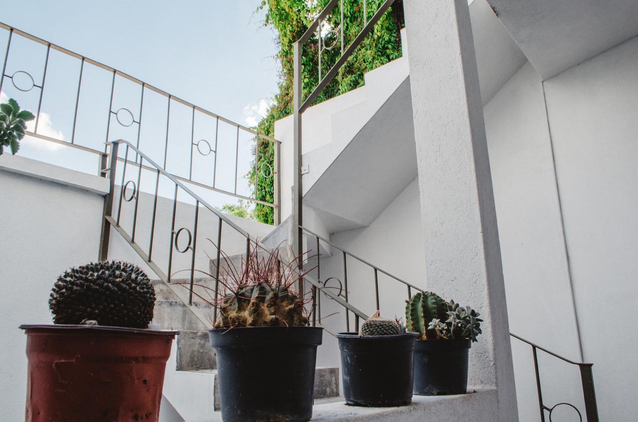 Casa Mariel Hotel San Luis Potosí Екстериор снимка